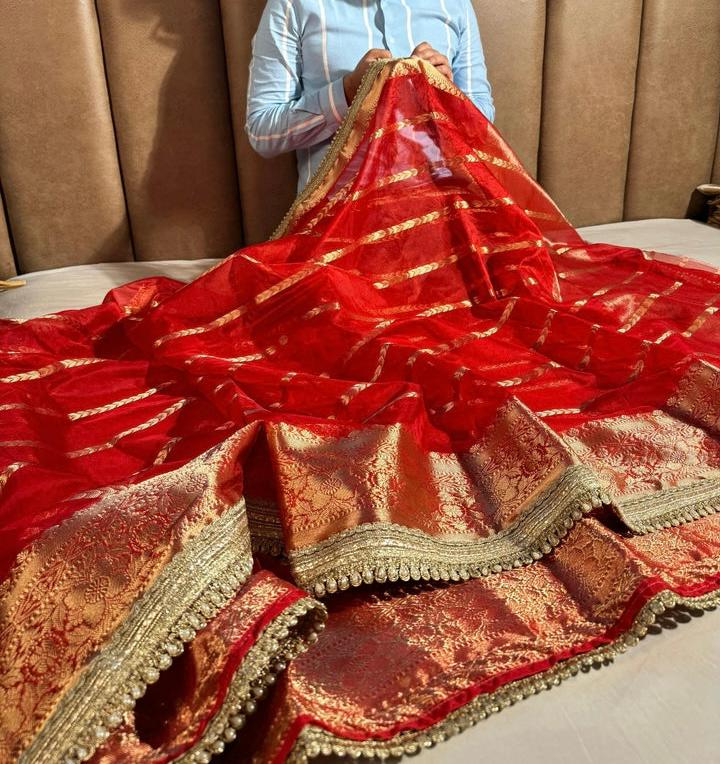 Organza Lace Saree Collection